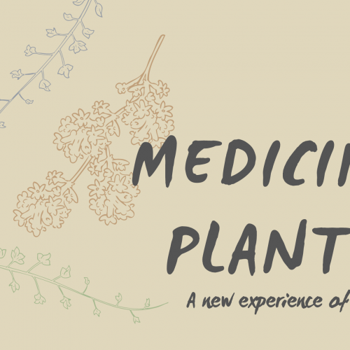 Medicine plants: the new alternative for healing.