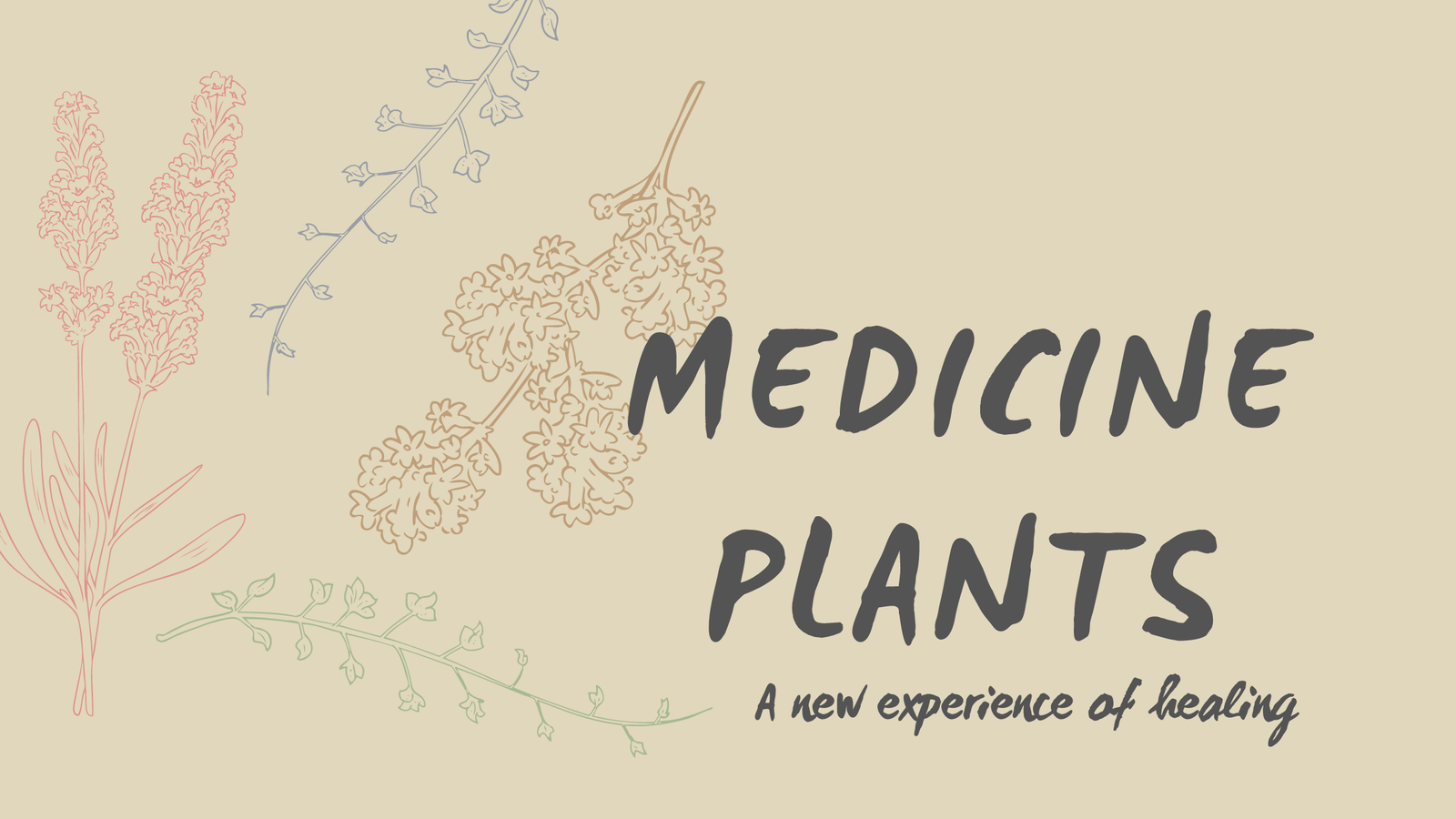 Medicine plants: the new alternative for healing.